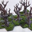 20250518_084846.jpg Oathsworn: Into The Deepwood - Terrain