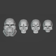 c1.png Collection of skulls