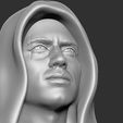 18.jpg Anakin Skywalker bust for 3D printing