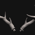 5.png Deer skull with stand