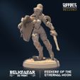 resize-a10.jpg Seekers of the Ethernal Moon - MINIATURES 2023