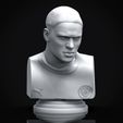 Preview_1.jpg Erling Haaland 3D Printable Bust