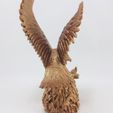Eagle vs Cobra
