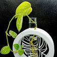 Cohen3d001.jpg Decorate Plant Test Tube Holder
