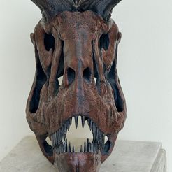 Reconstrucción del cráneo del Carnotaurus sastrei