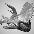 Triceratops-3.png Triceratops Head