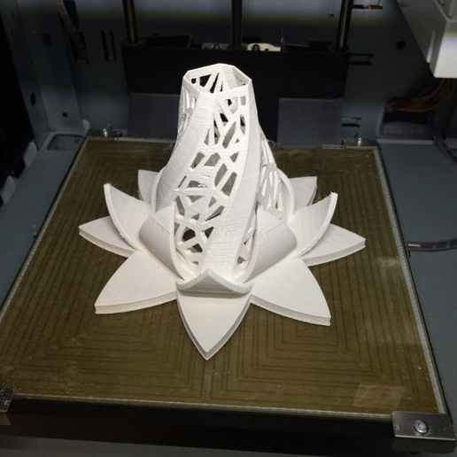 Capture_d_e_cran_2016-08-04_a__11.17.14.png Flor radiante