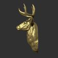 49.jpg White tailed deer bust