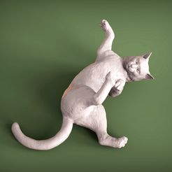 The-cat-lies-on-its-back.1.jpg Fichier 3D Chat pour l'impression 3D・Design imprimable en 3D à télécharger, akuzmenko