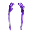 Cervical_ribs_06.obj Life size Citipati (Oviraptor) skull and cervical vertebrae