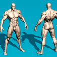 p-02.png Мускулистая мужская анатомия