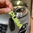 IMG-20230419-WA0000.jpg Ford Puma Keychain