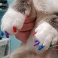 uñas-gato.jpg nail covers for cats and dogs