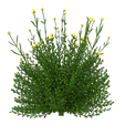 53-1.png Plant Tree And Flowers Home 3D Model 53-56
