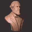 05.jpg General Robert E Lee bust sculpture 3D print model