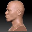 5.jpg Nelly bust for 3D printing