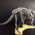 32449114042_b9b366a488_k.jpg Triceratops prorsus Skeleton
