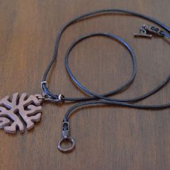 DSC_1009_1K.JPG Free STL file Intrepid Fiber (Pendant - Differential Line Growth)・3D print object to download