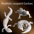 Thumbnail.jpg Leopard Gecko Realistic Pet Reptile Lizard