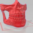 MASK.JPG Archivo STL gratis MASK CALACA・Diseño imprimible en 3D para descargar