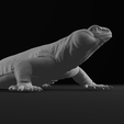 Pose3back-min.png Uromastyx - Spiny Tailed Lizard - Realistic Dabb Lizard Pet Reptile