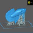 z4176077554623_f759bc3a706bd313856a472b43d20329.jpg Betta Fish 2 - Ready for 3D print