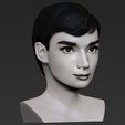 29.jpg Audrey Hepburn black and white bust for full color 3D printing