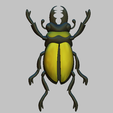 op3.png insect, STL, OBJ