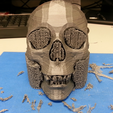 Capture d’écran 2017-07-26 à 11.30.42.png Free STL file Human Skull・3D print model to download