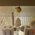 20210125_200346.jpg Bird Feeder (automatic)