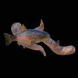 pstruh-2.png rainbow trout underwater statue on the wall detailed texture for 3d printing