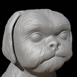 Shih-Tzu_Render_4.png Seated Shih Tzu