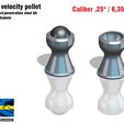 Hypervelocity252.jpg Hyper velocity pellet caliber 25