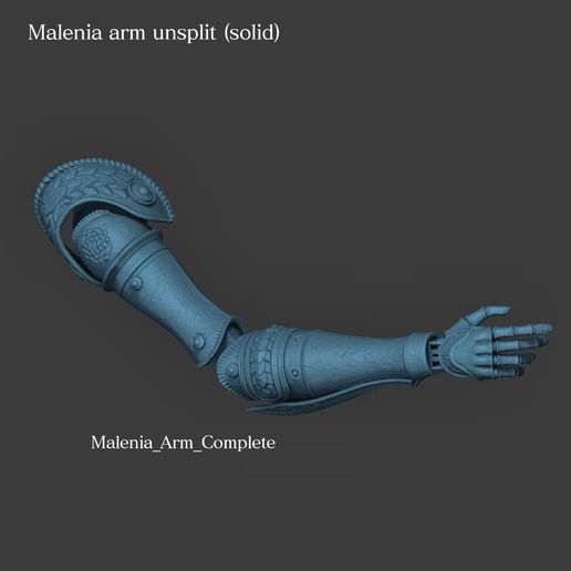 File_Guide_Arm_Unsplit.jpg Malenia prosthetic Arm, Winged Helm and Sword