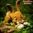 painted-0201-copy.jpg Bunny Rabbit articulated figure, print-in-place, cute-flexi