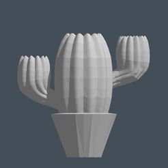 IMG-20231028-WA0001.jpg Kaktus-Halter