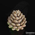 SD_Deco_PineConeRender02.jpg Pacchetto decorazioni per le feste invernali
