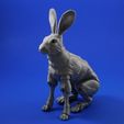 hare_square_1.jpg Free STL file The Fabled Hare (A 3D Printed Ball-jointed Doll)・3D printable object to download