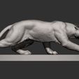 panther-on-the-hunt12.jpg Panther on the hunt 3D print model