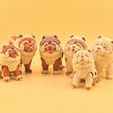 20260726_135058.jpg Articulated Chow Chow 🐾✨