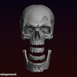 24-1.png Skull detailed