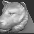 12.jpg Tiger head for 3D printing