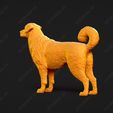 364-Anatolian_Shepherd_Dog_Pose_01.jpg Anatolian Shepherd Dog 3D Print Model Pose 01