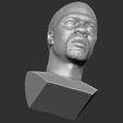 21.jpg Kevin Hart bust 3D printing ready stl obj formats
