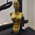 Front.jpeg Archivo STL gratis Busto Femenino・Modelo para descargar y imprimir en 3D, Format_sz