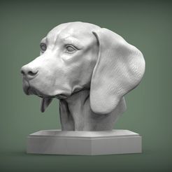 hungarian-vizsla1.jpg Hungarian vizsla Hungarian Pointing Dog 3D print model