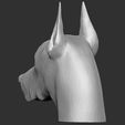 11.jpg Dobermann head for 3D printing