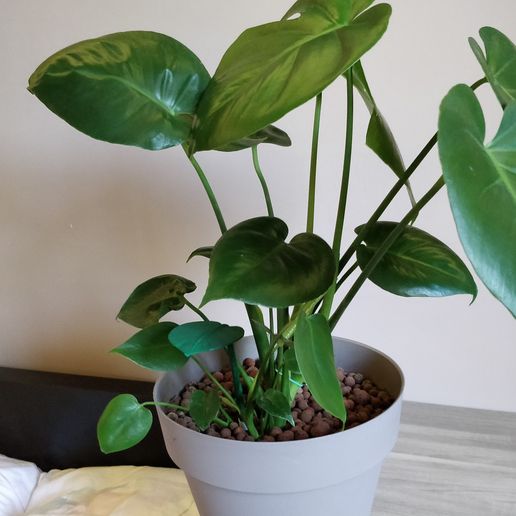 plant pen - 3D model önizlemesi