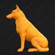 1682-Belgian_Shepherd_Dog_Malinois_Pose_04.jpg Belgian Shepherd Dog Malinois Dog 3D Print Model Pose 04