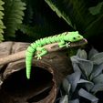 1.jpg Articulated Lizard - Print-In-Place Articulated Day Gecko
